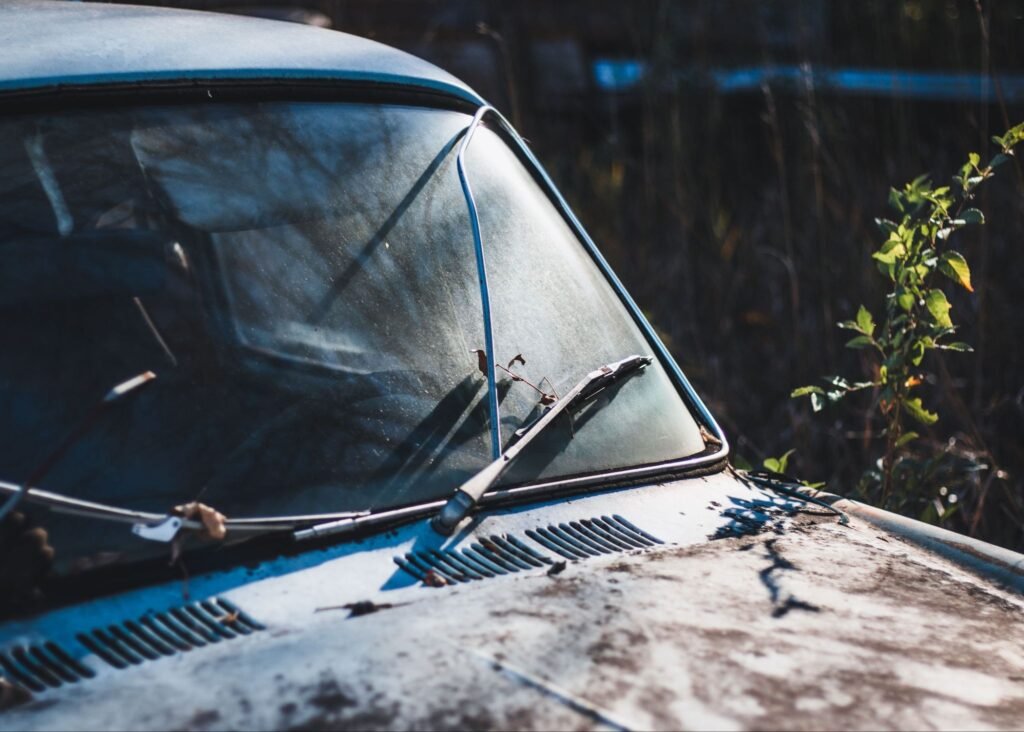 Close-up of a rusty, abandoned car partially covered by vegetation, reflecting sunlight.